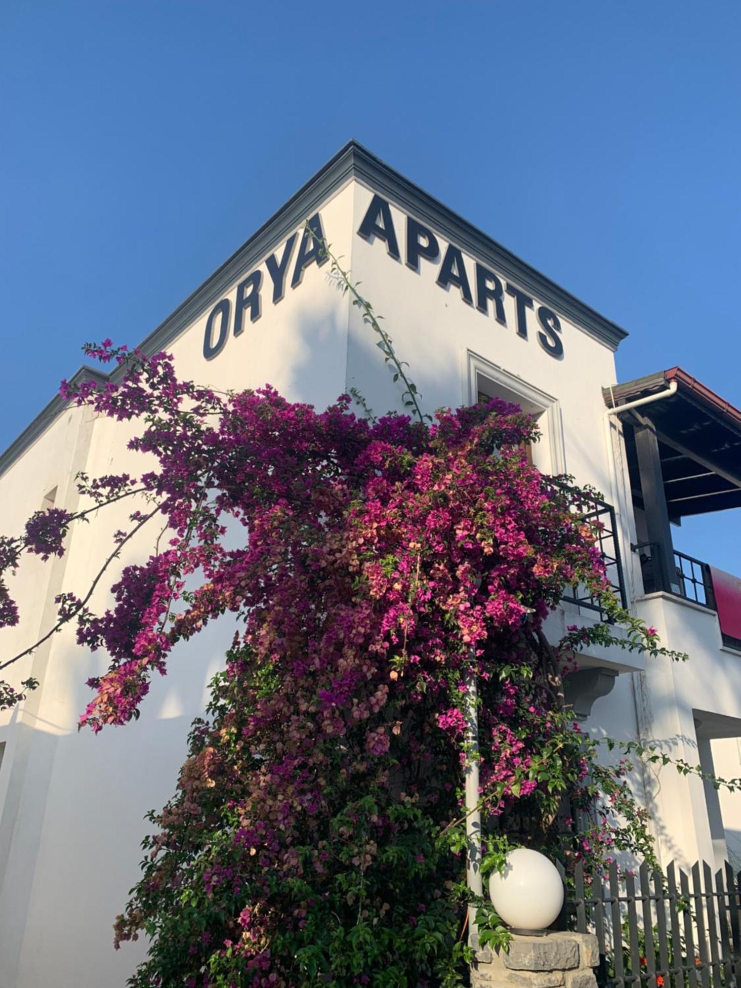Orya Aparts Gümbet Εξωτερικό φωτογραφία